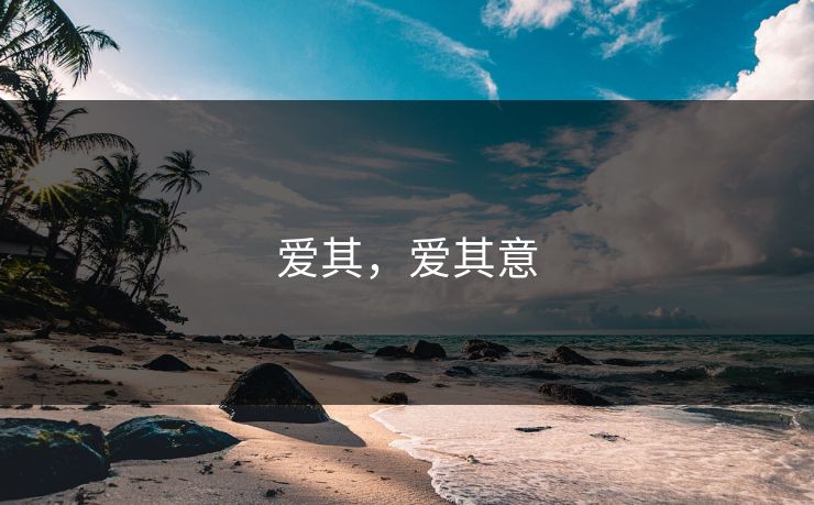 爱其，爱其意