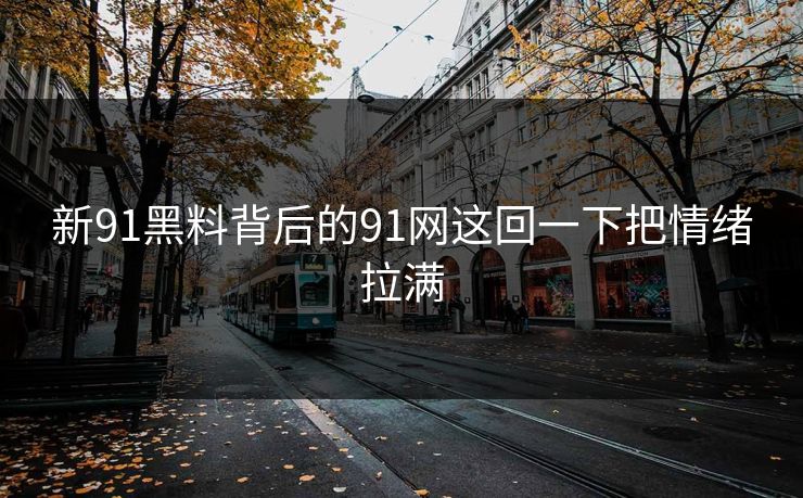 新91黑料背后的91网这回一下把情绪拉满