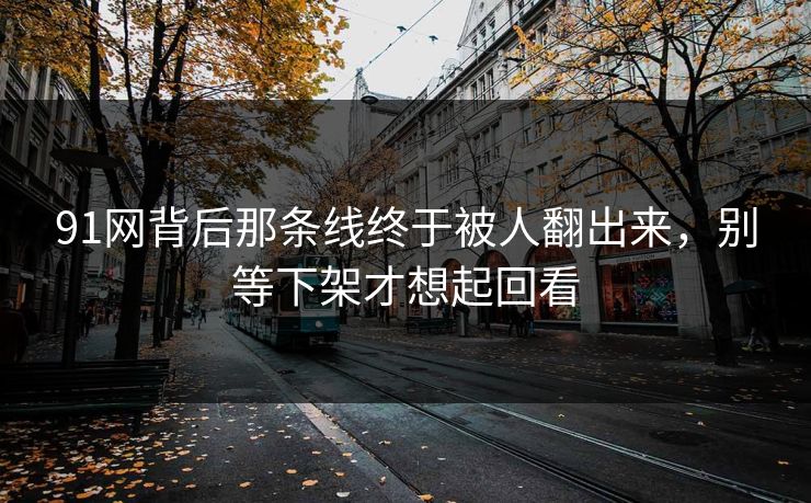 91网背后那条线终于被人翻出来,别等下架才想起回看 91网背后那条线终于被人翻出来,别等下架才想起回看