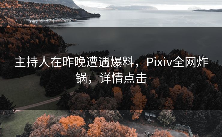 主持人在昨晚遭遇爆料，Pixiv全网炸锅，详情点击