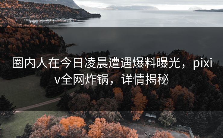 圈内人在今日凌晨遭遇爆料曝光，pixiv全网炸锅，详情揭秘