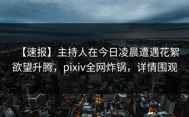 【速报】主持人在今日凌晨遭遇花絮欲望升腾，pixiv全网炸锅，详情围观